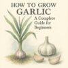 How to Grow Garlic – A Complete Guide for Beginners