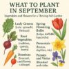 What to Plant in September – Vegetables and Flowers for a Thriving Fall Garden